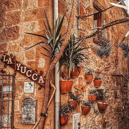 Casa de Férias La Yucca *