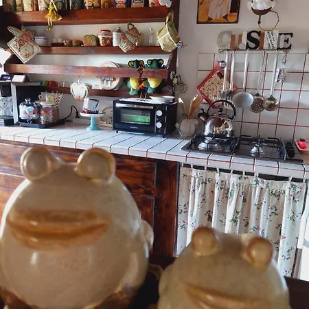La Yucca *